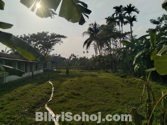 180 decimal plot sell